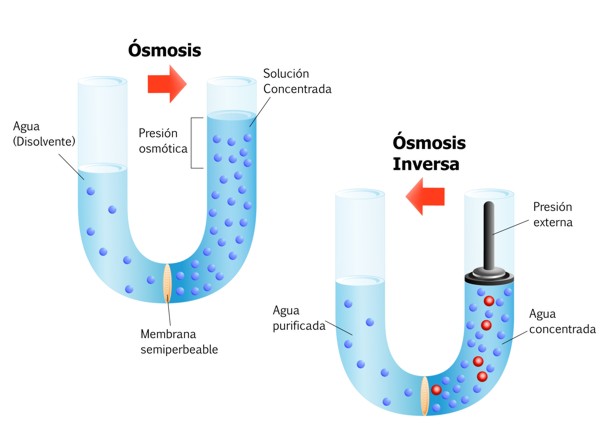 osmosis inversa